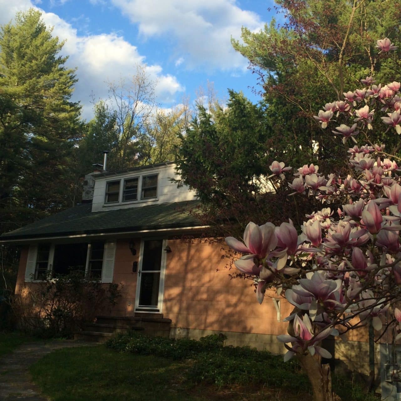 A pink-painted Vrbo in upstate New York, where Bob Dylan recorded 