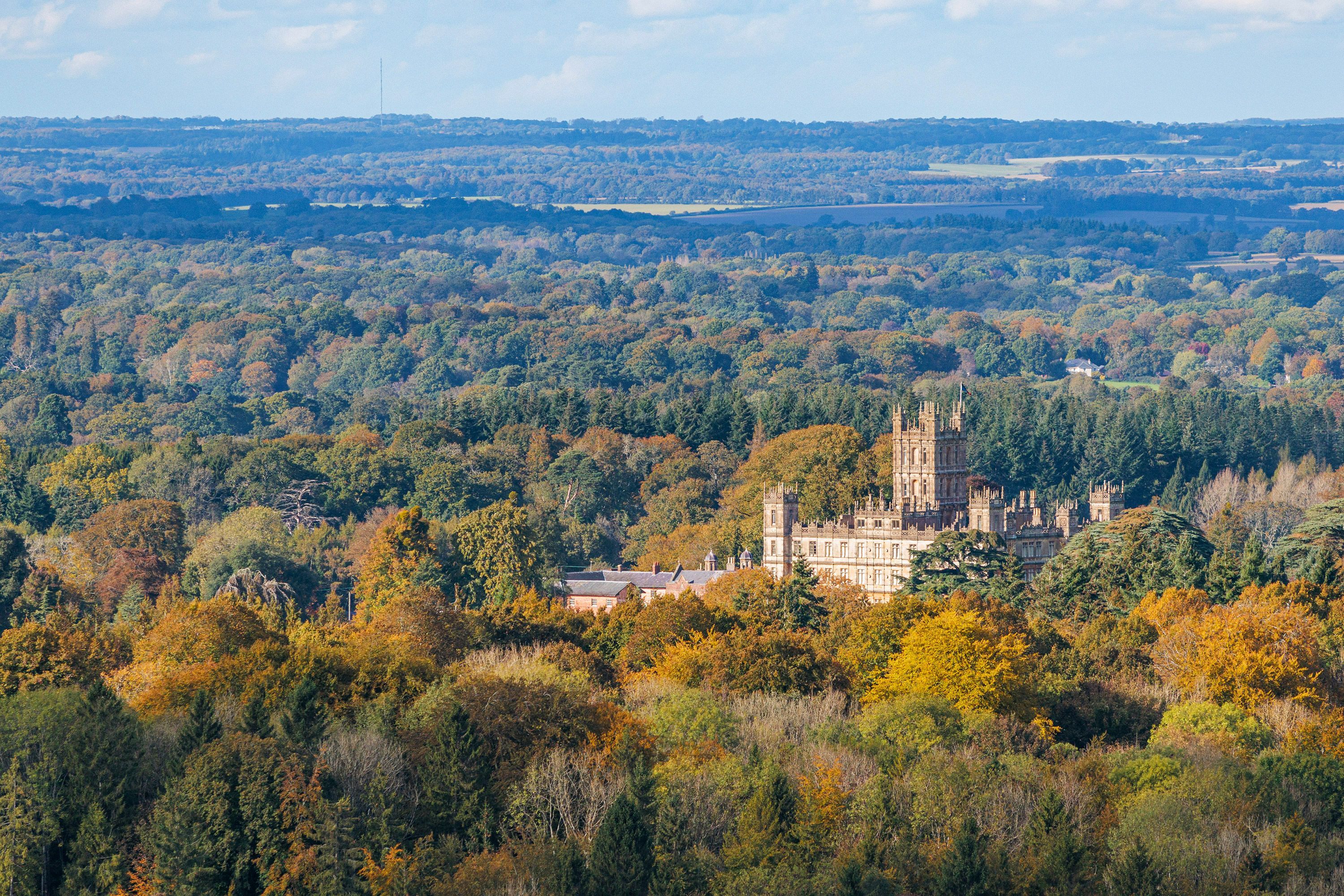 Aerial view of trees and hills surrounding Highclere Castle in Newbury, United Kingdom.
