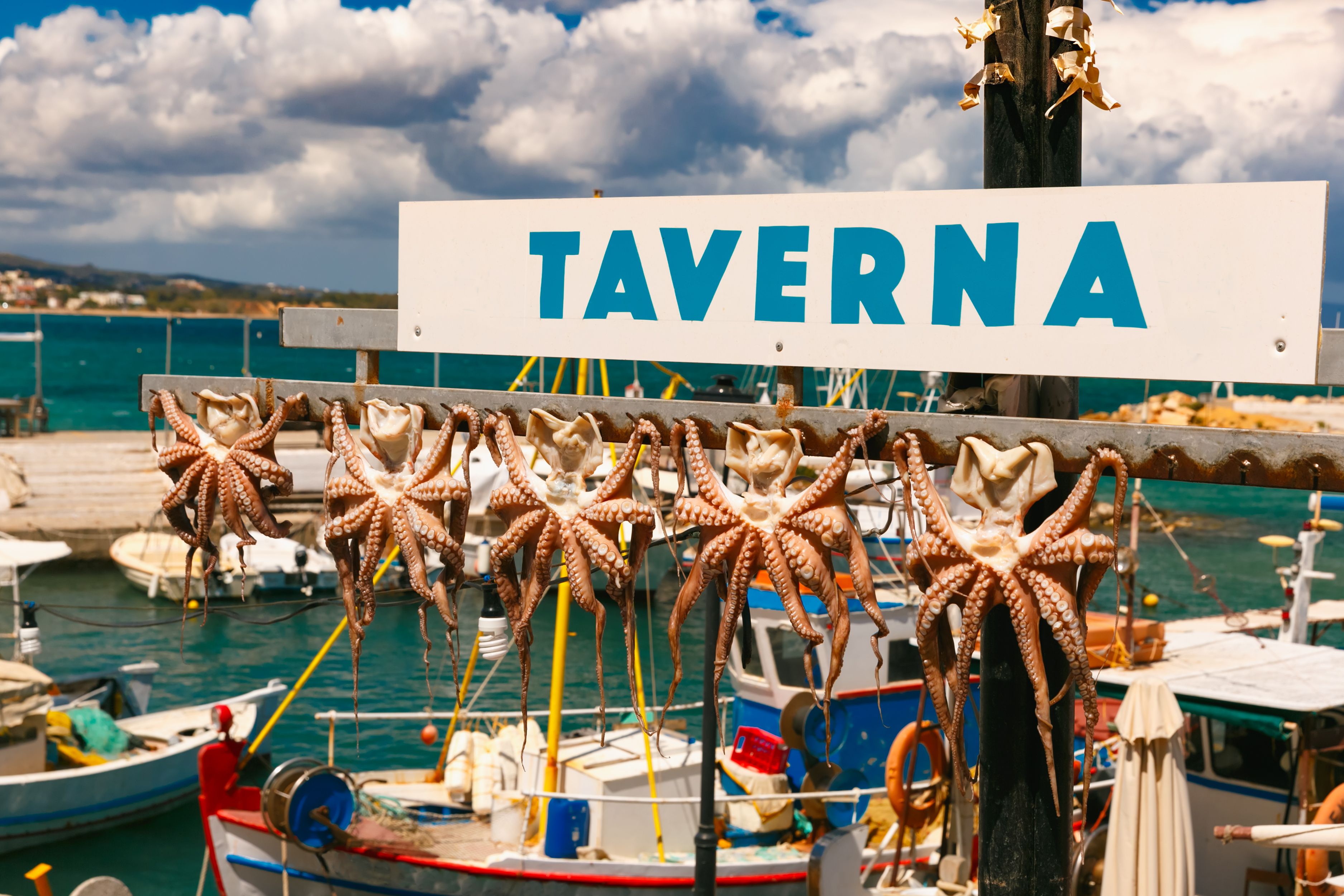 dock in crete with octopus hanging