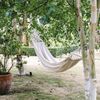 A hammock strung between trees at a Vrbo in Norfolk, England