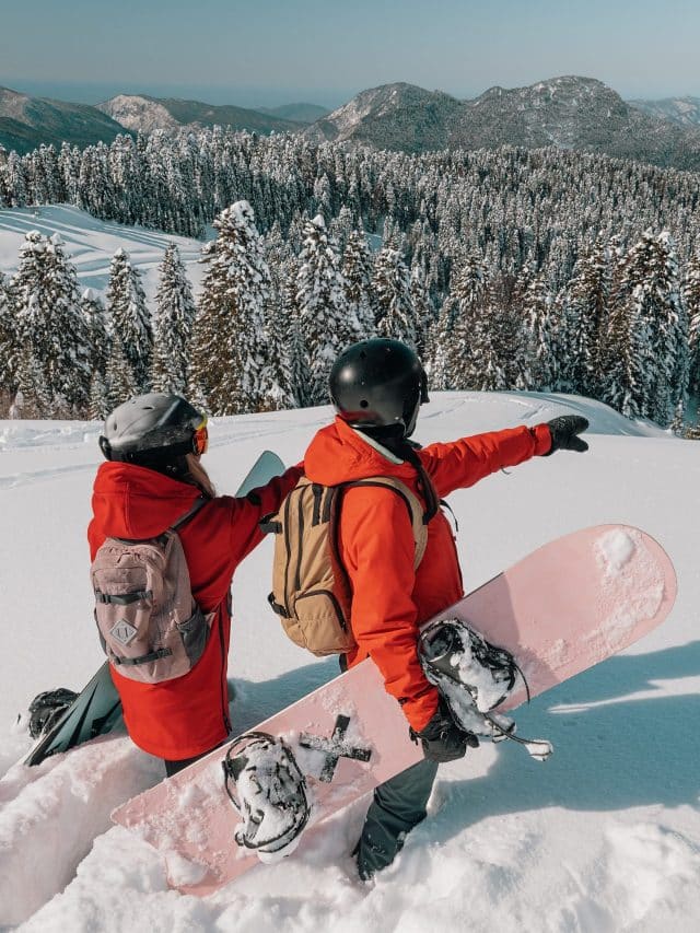 Seen from behind, two people in red jackets and winter gear hold snowboards and point down the slope of a snowy mountain with snow-topped trees in the distance