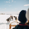 A dog-sledding adventure seen from the sled, heading into the wilderness in Churchill, Manitoba