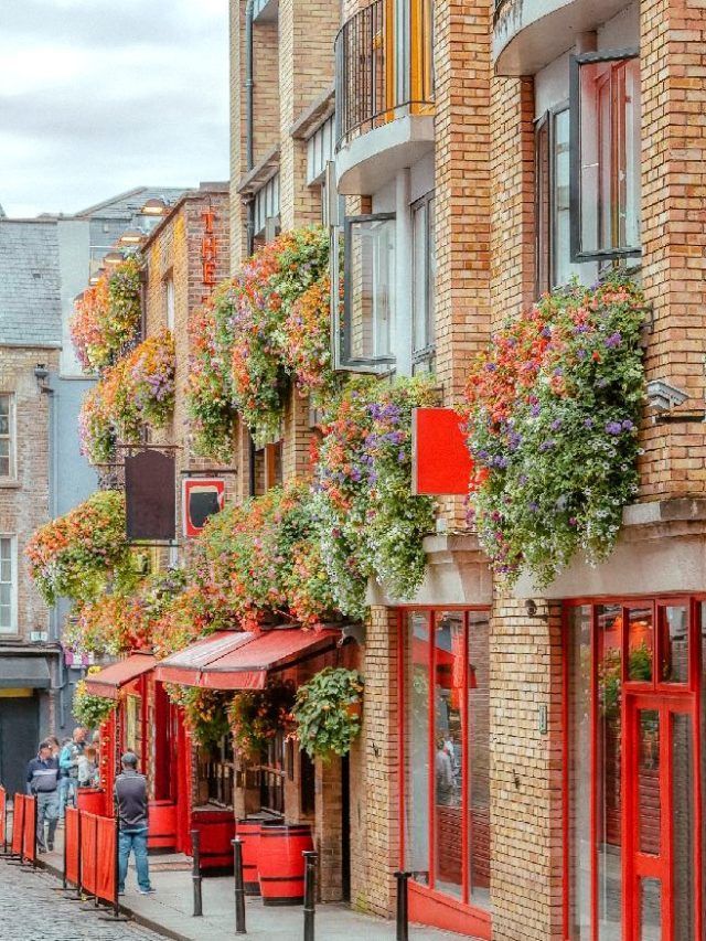 The exterior of a pub adorned with planters filled with flowers in Dublin, Ireland