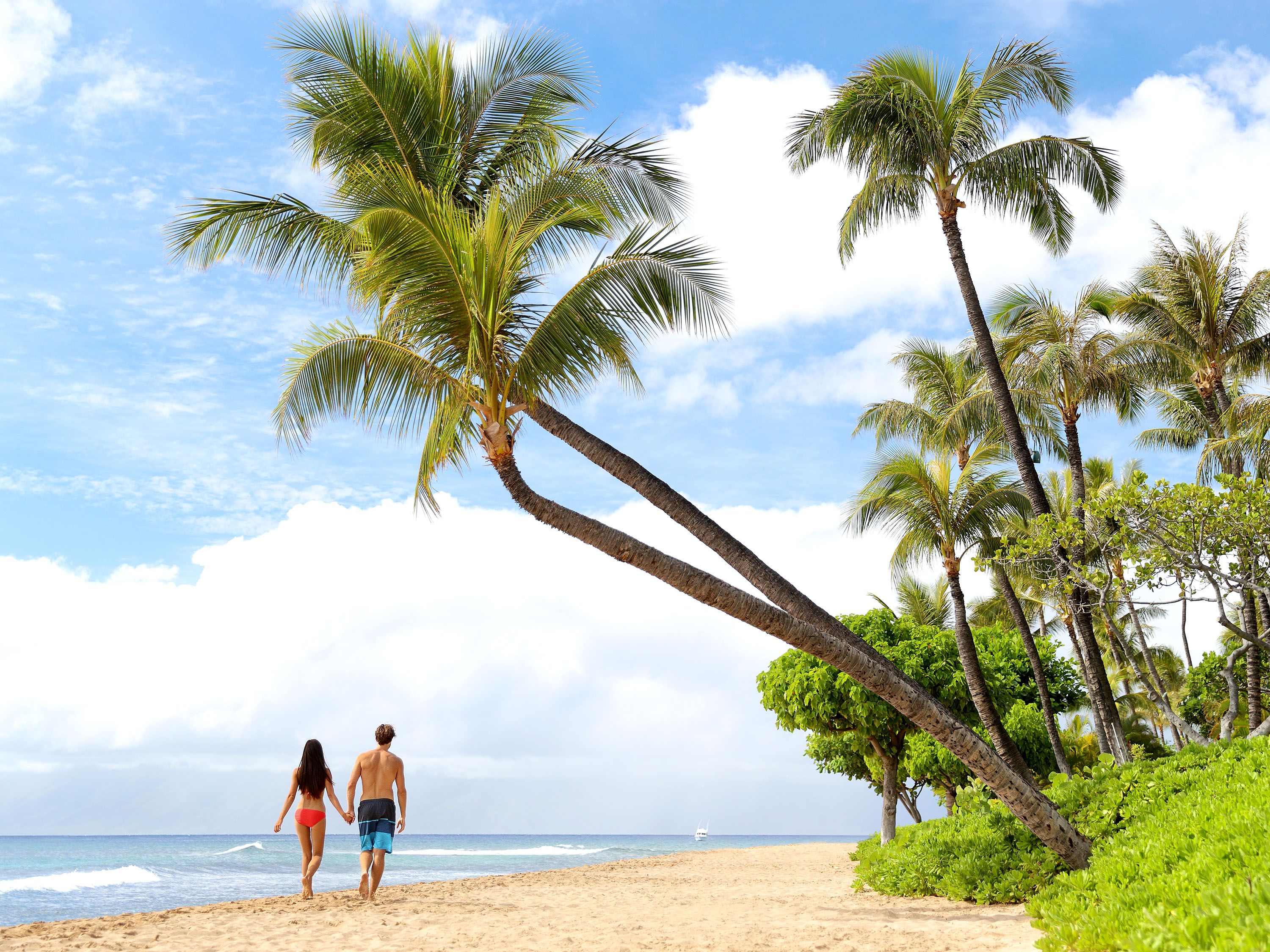 Man and woman walking on a beach with palm trees and ocean.