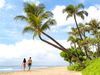 Man and woman walking on a beach with palm trees and ocean.