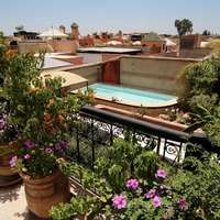 Riad Jona