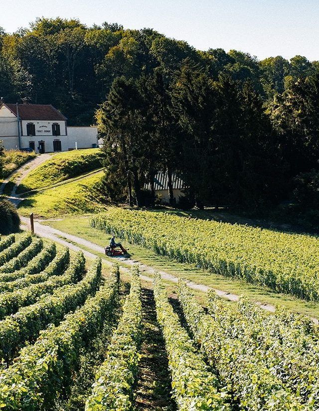 A vineyard tour is a non-negotiable