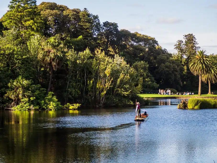 On the lake at the Royal Botanic Gardens in Melbourne, Australia, a wooden boat floats towards the trees in the distance as a person standing upright punts and gives a professional guided tour to the people relaxing down in the front of the boat
