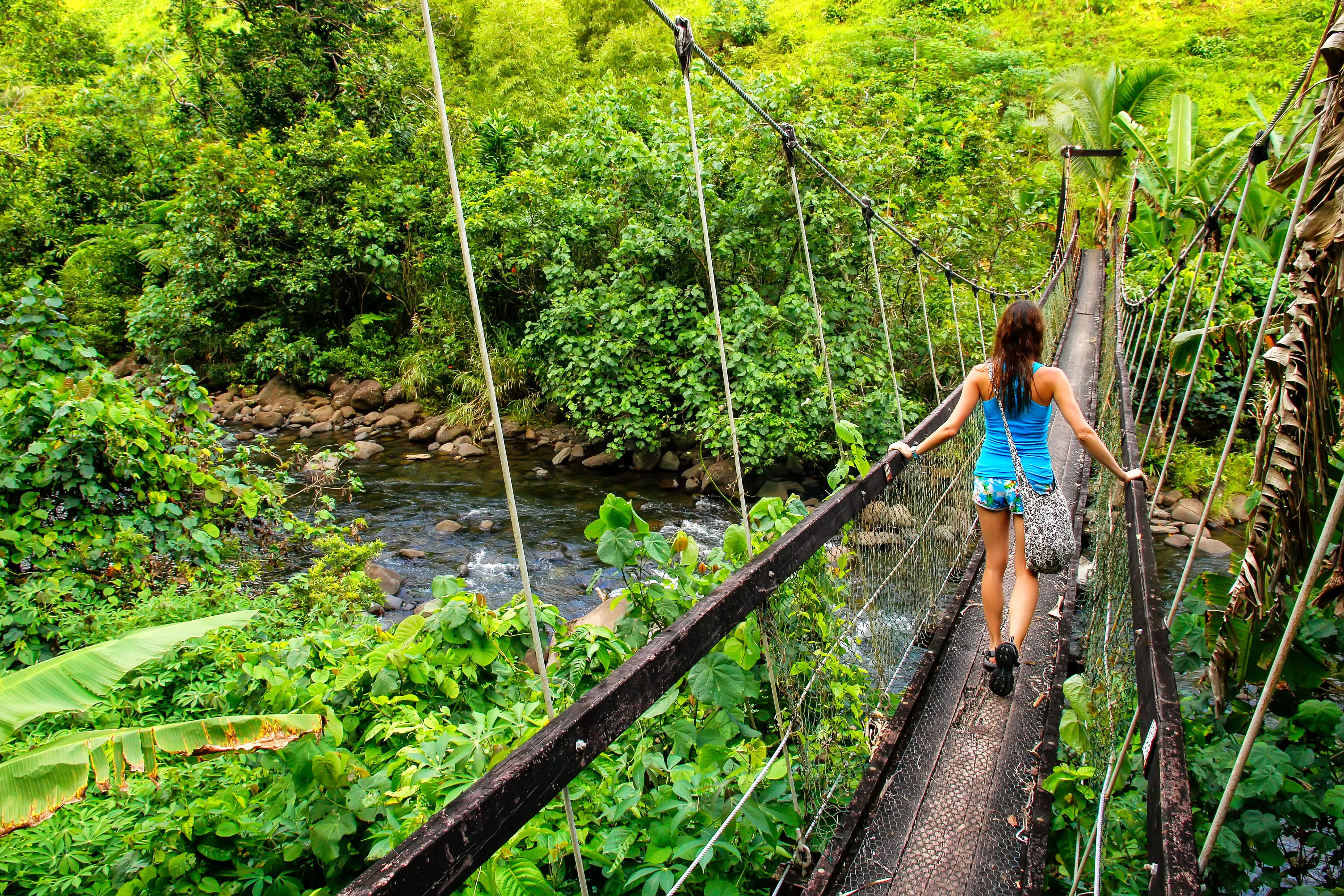 A suspension bridge spans Wainibau Stream along Fiji’s wild Lavena Coastal Walk on Taveuni Island.