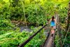 A suspension bridge spans Wainibau Stream along Fiji’s wild Lavena Coastal Walk on Taveuni Island.
