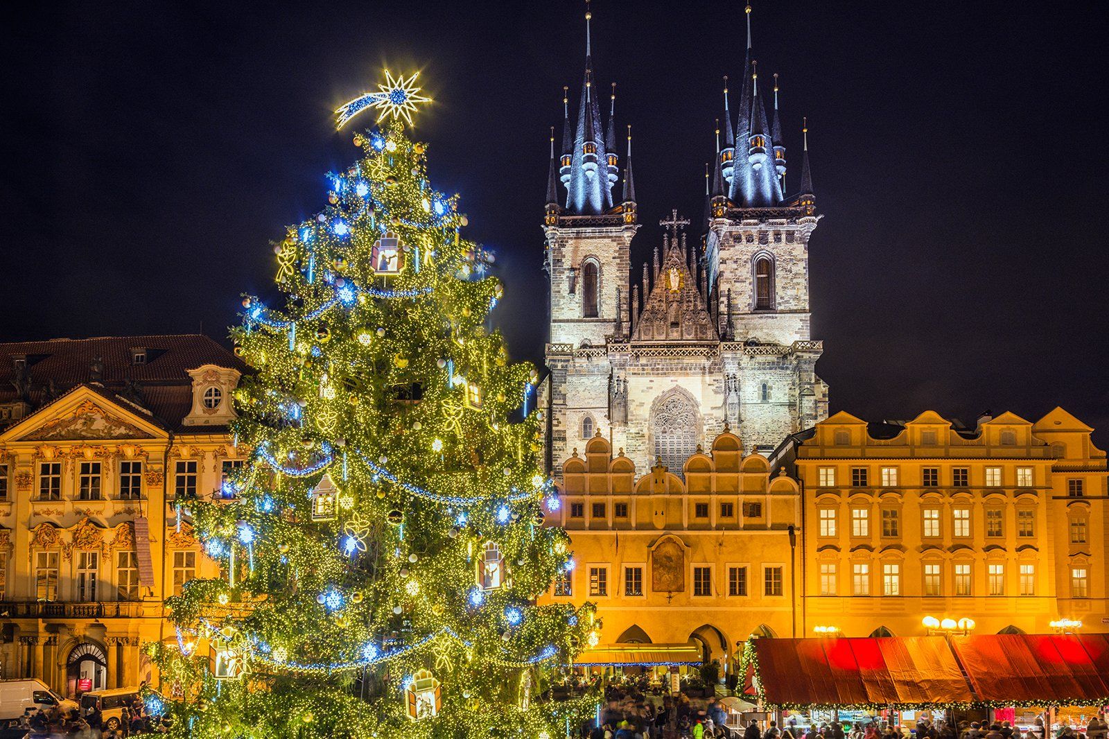Christmas Tree and Tyn Church in Prague's Old Town Square at Night