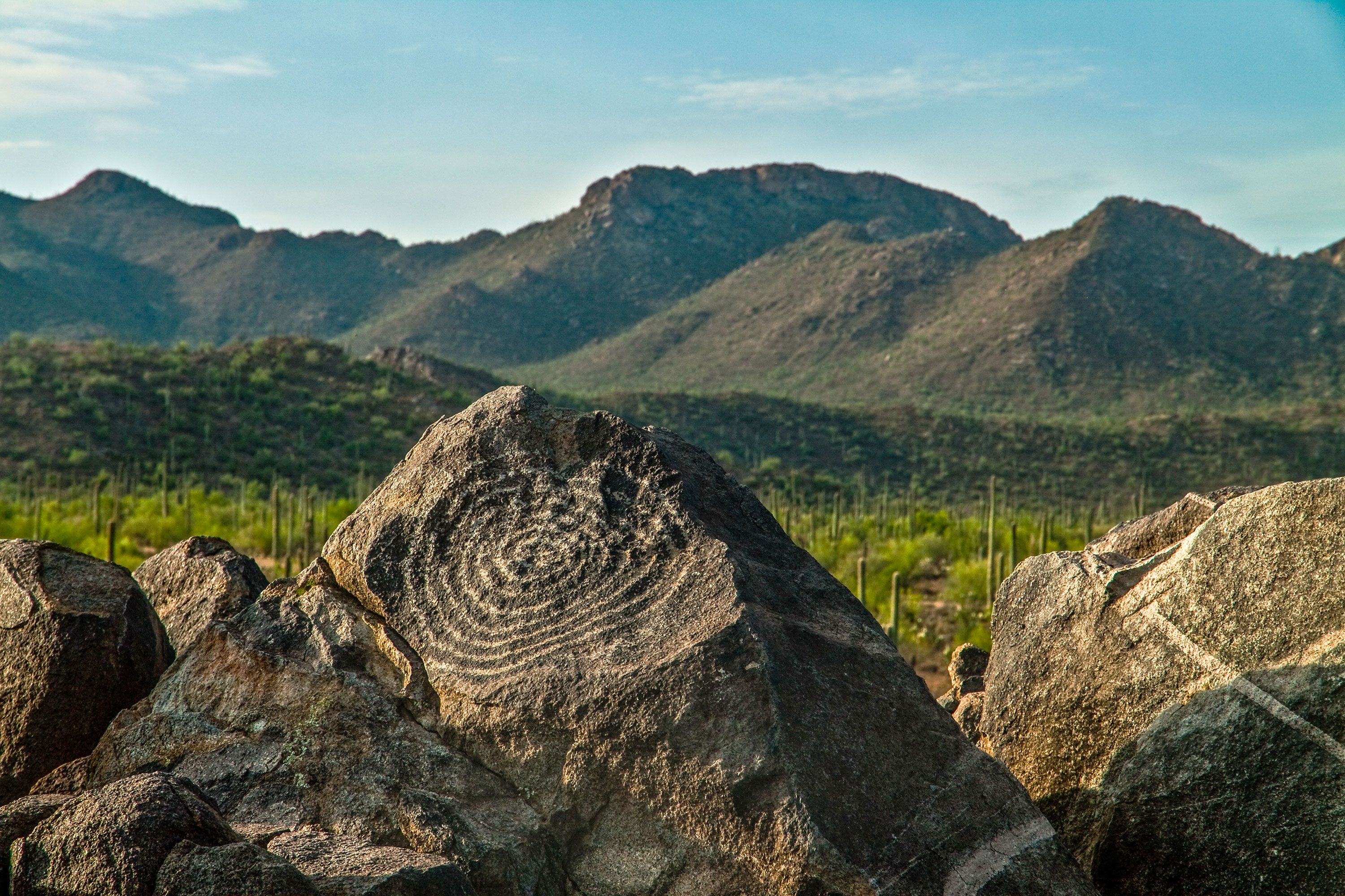 Petroglyphs art on rocks with green mountains in the distance.