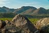 Petroglyphs art on rocks with green mountains in the distance.