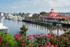 Flowers in the foreground of buildings and a dock with boats.