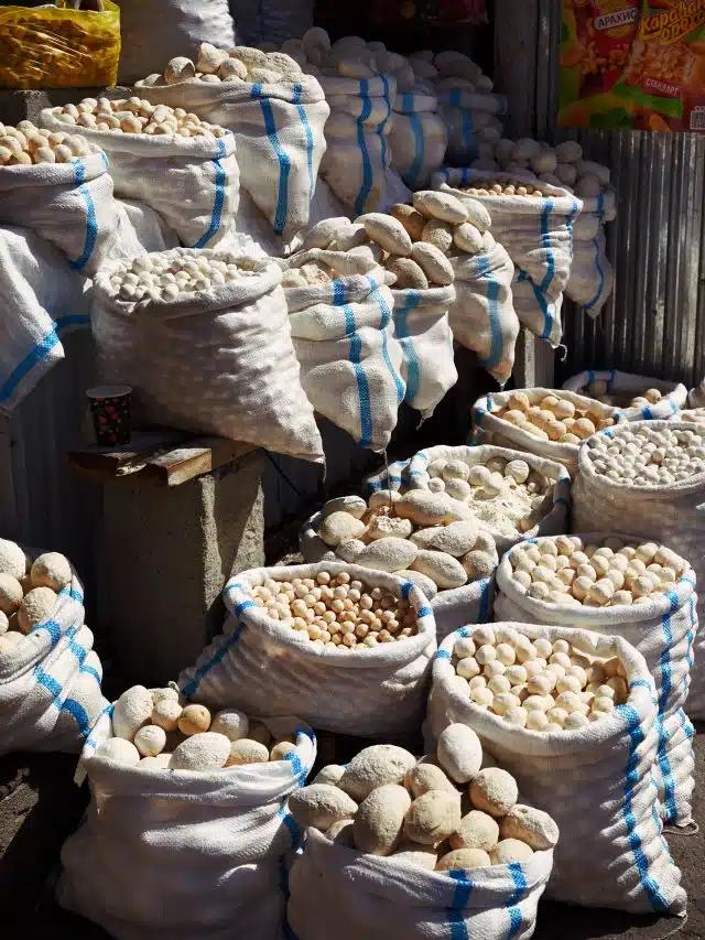 Powdery white dried yogurt balls of varying sizes in sacks, by a roadside on the way to the Pamir Mountains, Tajikistan