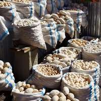 Powdery white dried yogurt balls of varying sizes in sacks, by a roadside on the way to the Pamir Mountains, Tajikistan