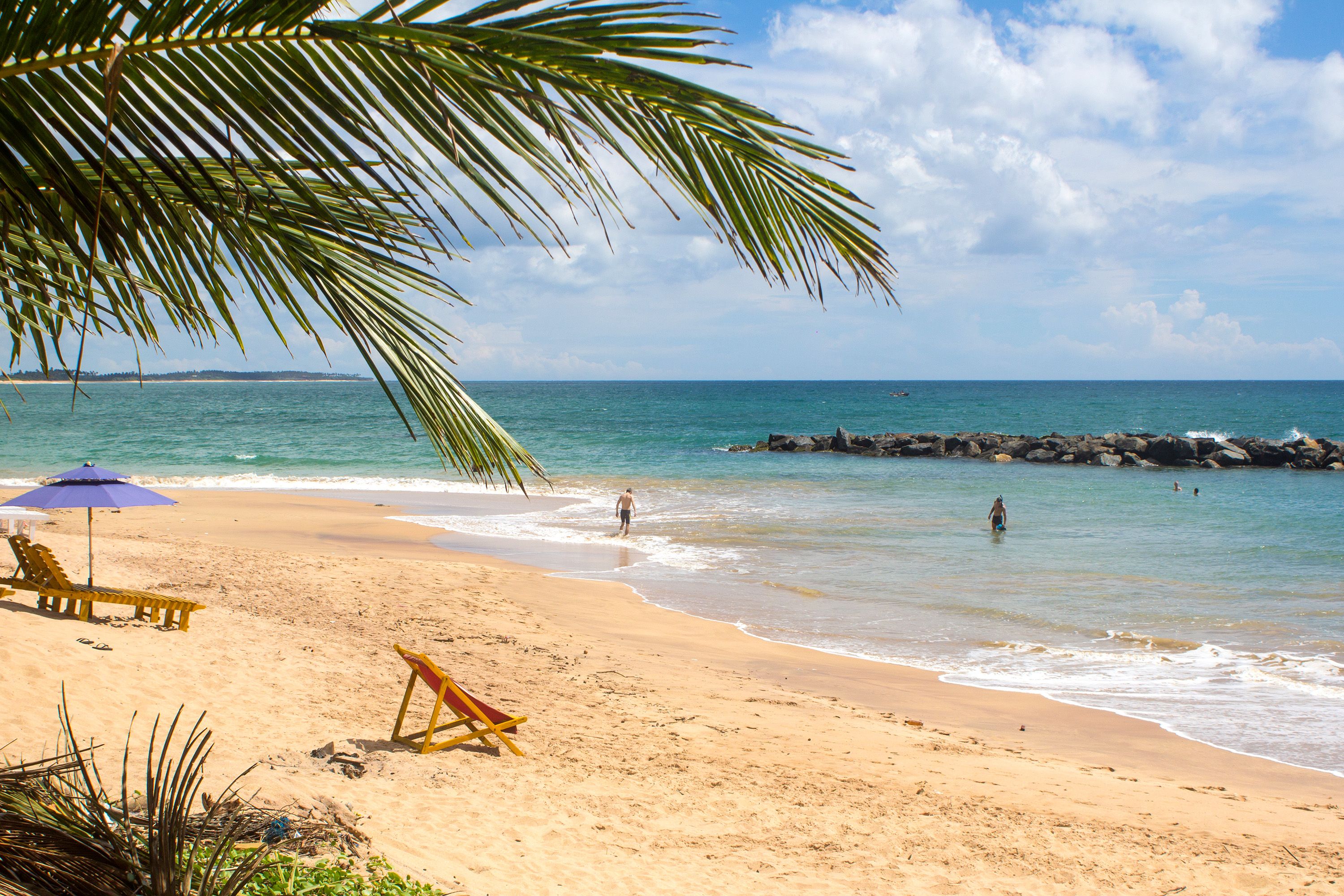 A palm tree frames a white sand beach with lounge chairs and shade umbrellas.