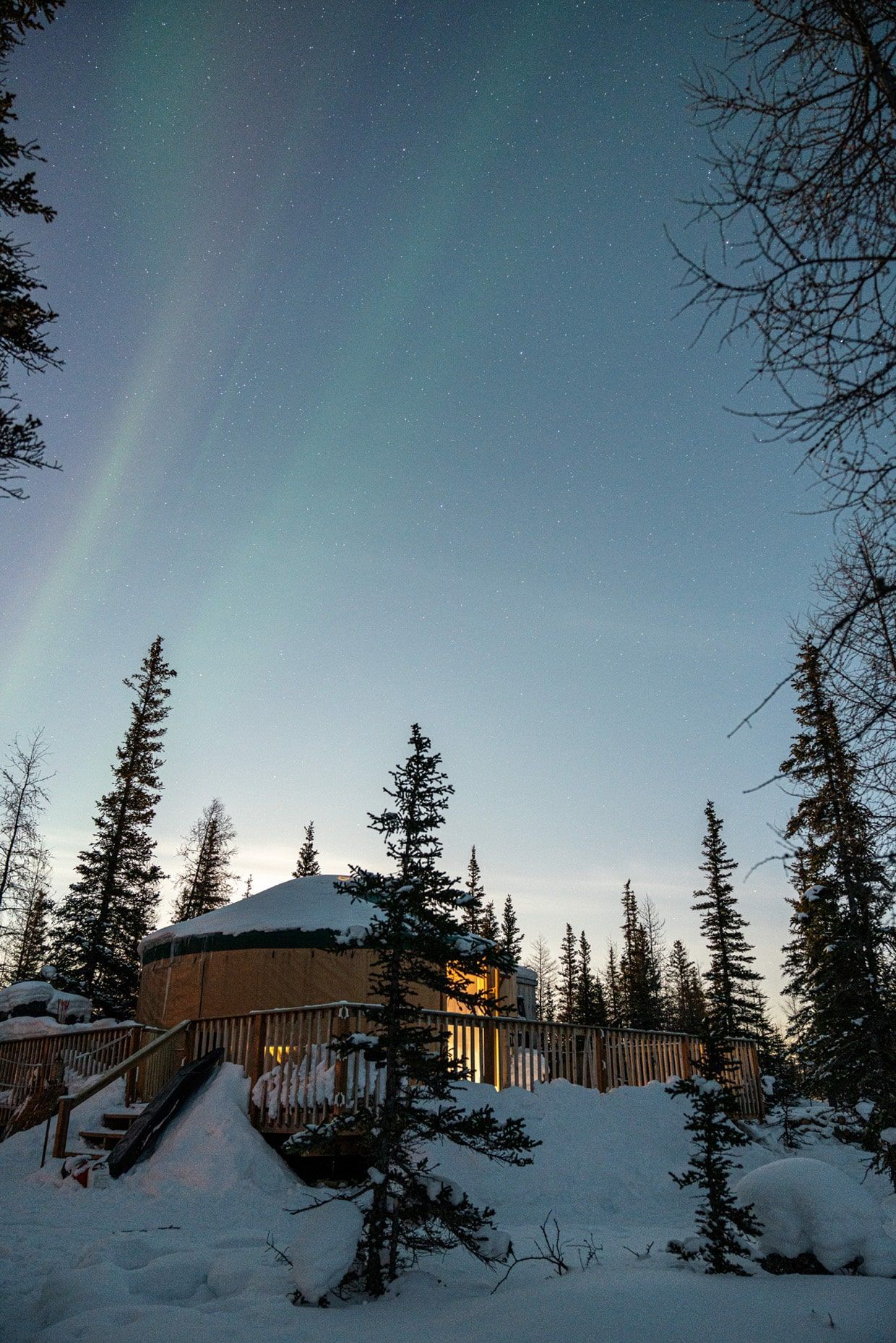 A dramatic starry sky with delicately coloured aurora over a cabin in the woods, Manitoba