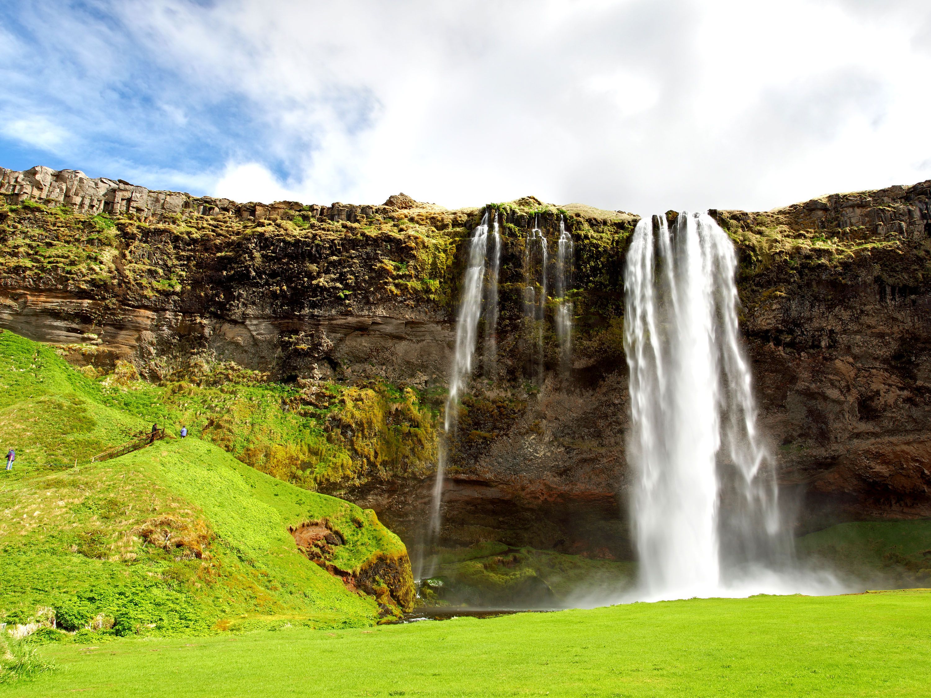 Green grass and large cliff with waterfall.