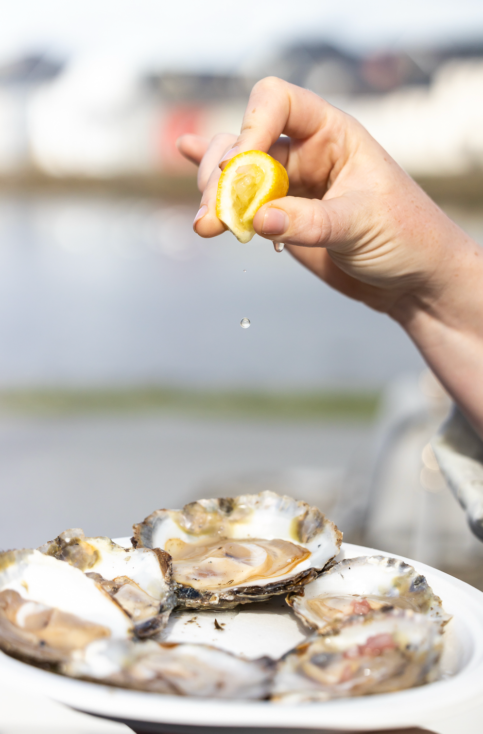 Galway has crowned oyster-opening champions since 1954.