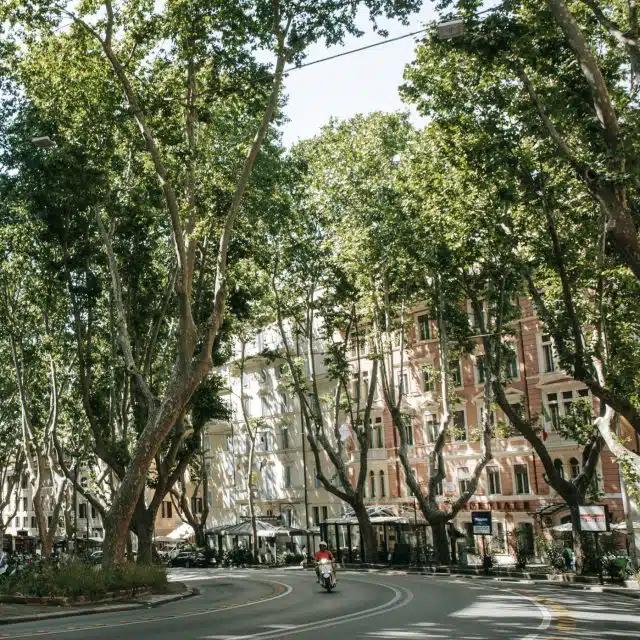 Via Veneto's elegant architecture, with tall trees lining the road