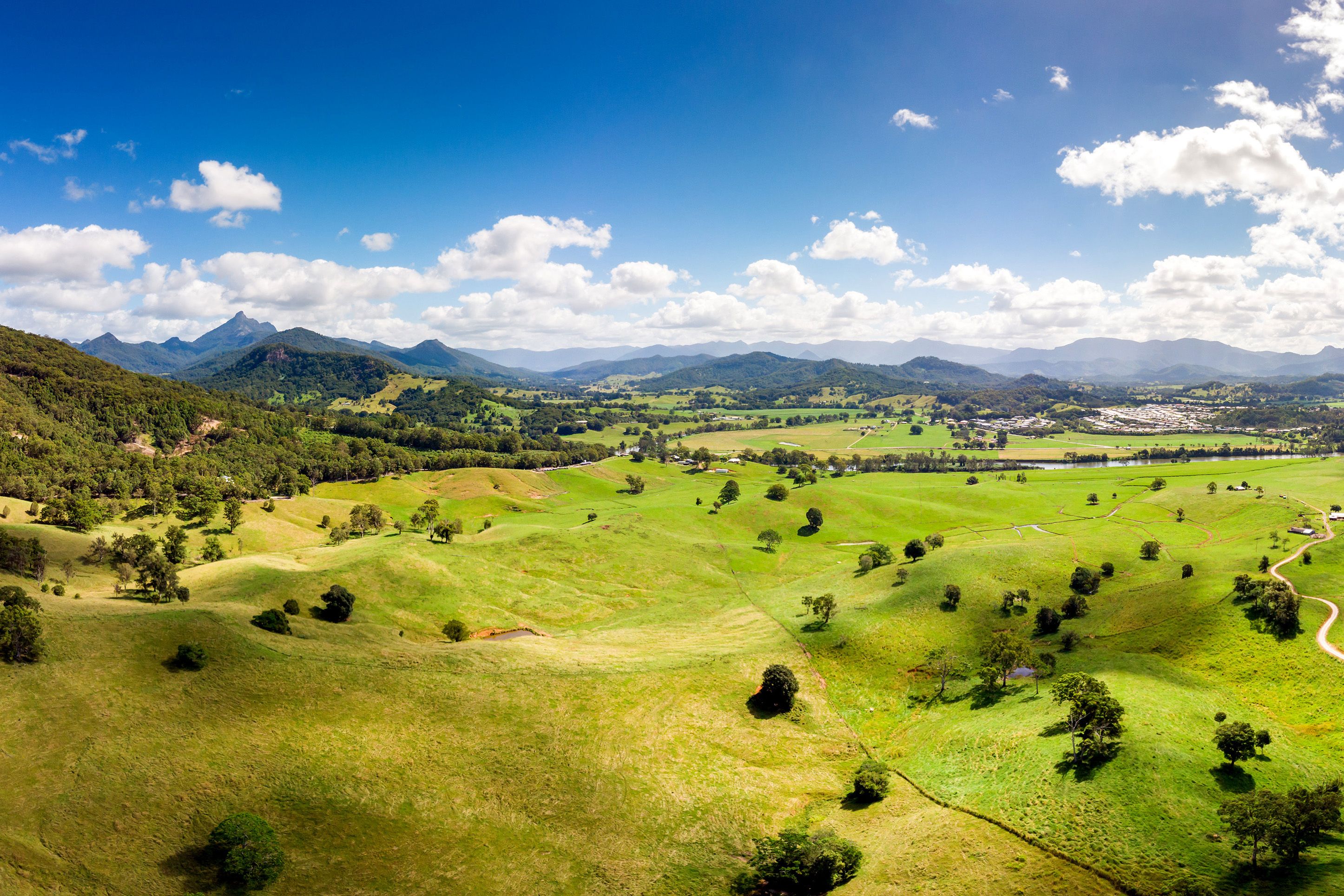 Aerial photo of green pastures dotted with trees and mountains in the distance.