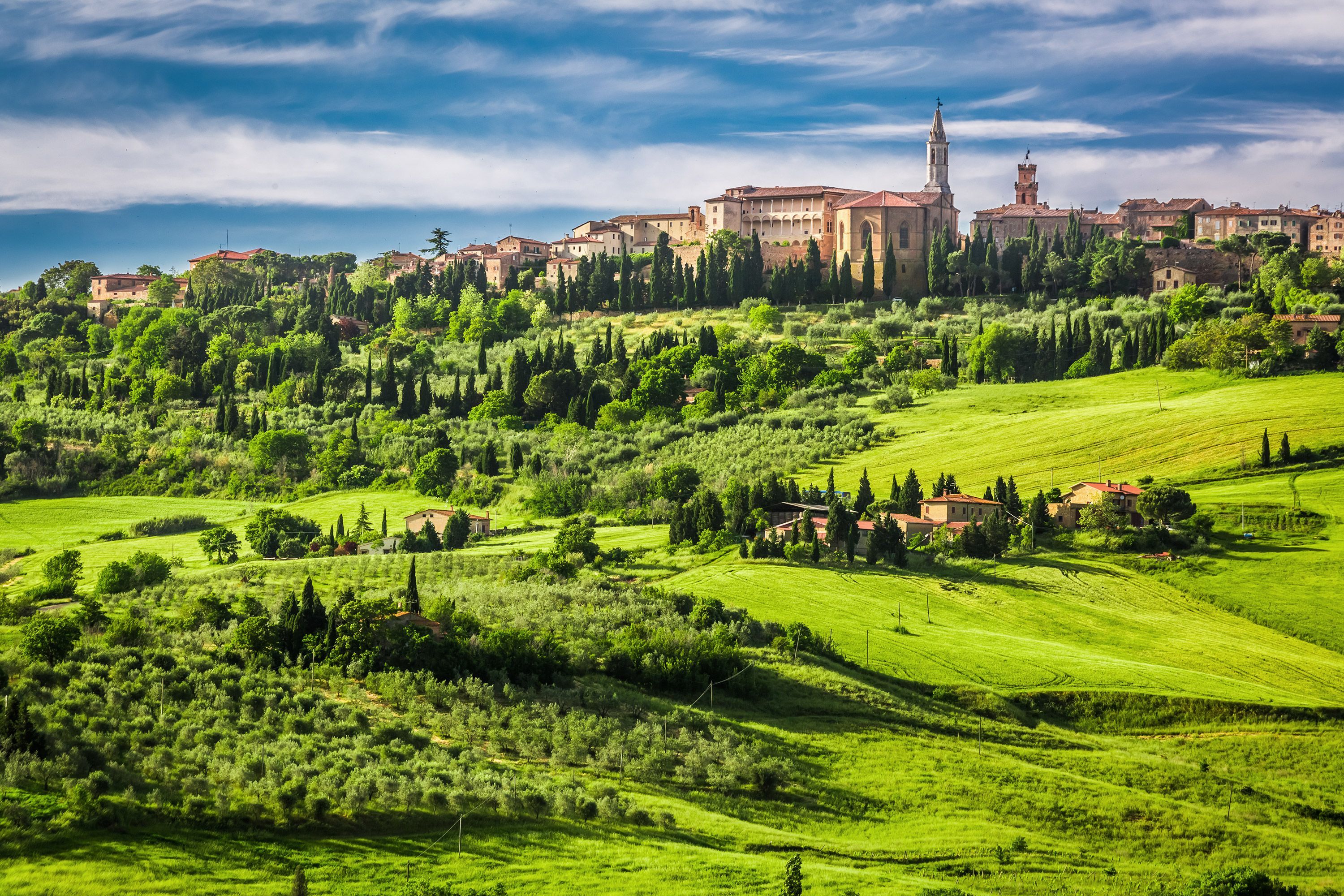 Aerial view of the town of Pienza, Italy seen with rolling hills and tall trees.