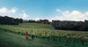 Abenteuer und Fine Dining in Margaret River