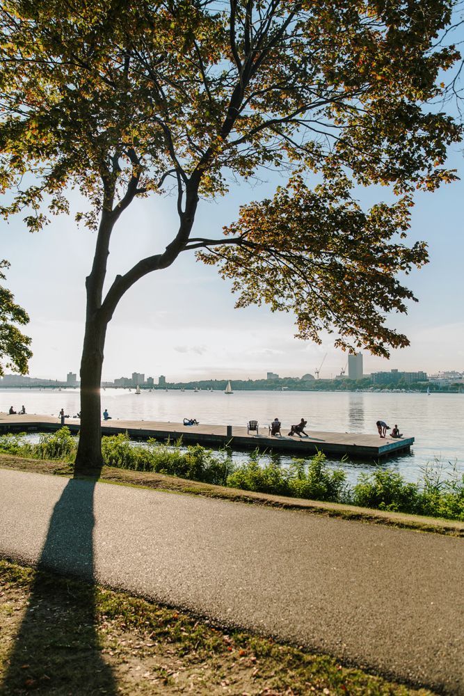 マサチューセッツ州、ボストンからケンブリッジへのチャールズ川の眺め