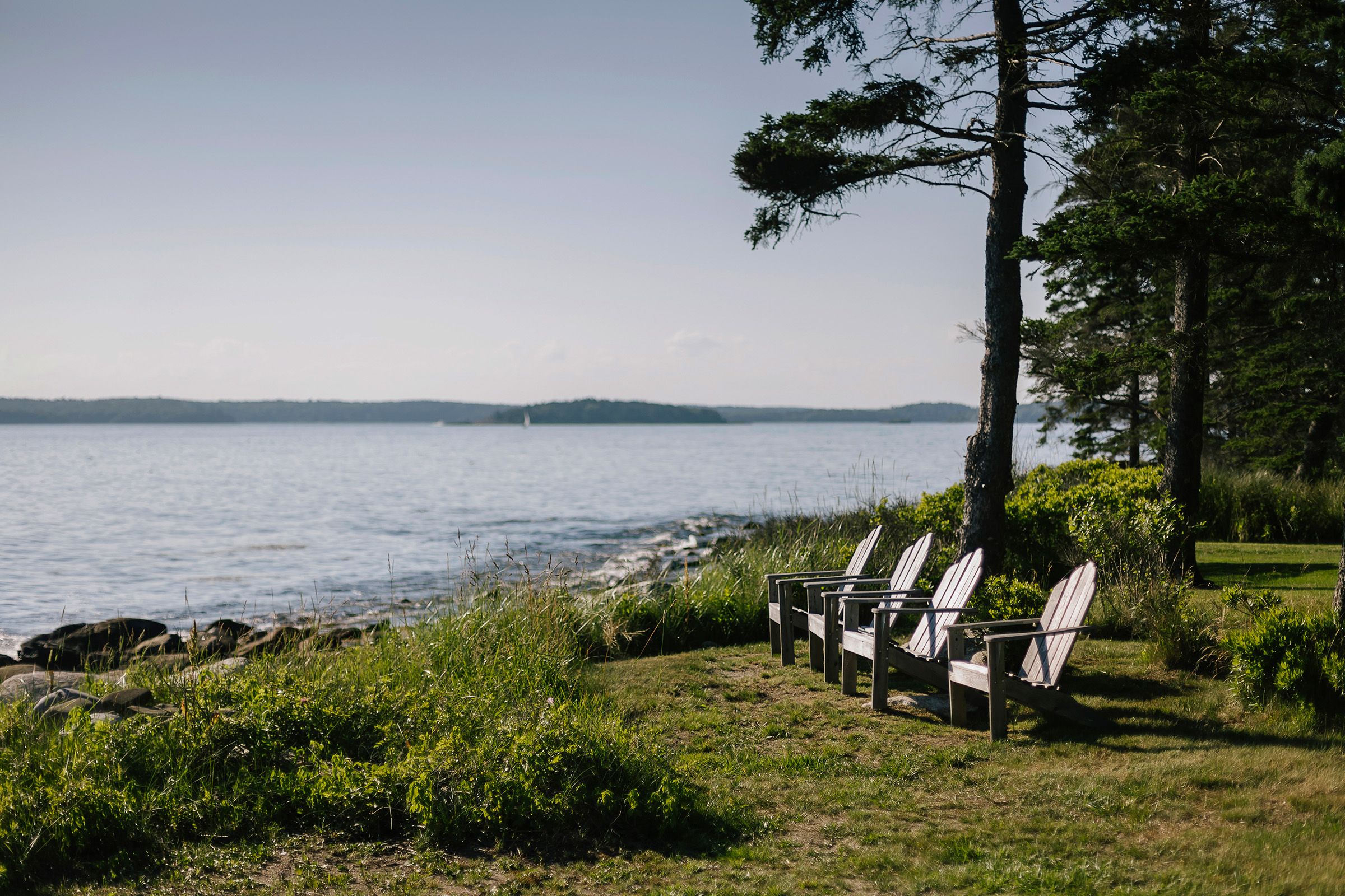 Adirondack Chairs Landscape On Lawn At Coast In Maine