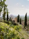 Seen between cypress trees, the romantic residence of Borgo Lucignanello in rural Tuscany