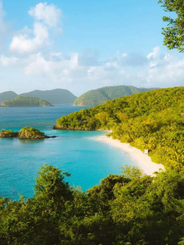 Turquoise waters meet the white-sand beach with lush forest beyond at Trunk Bay on the US Virgin Islands