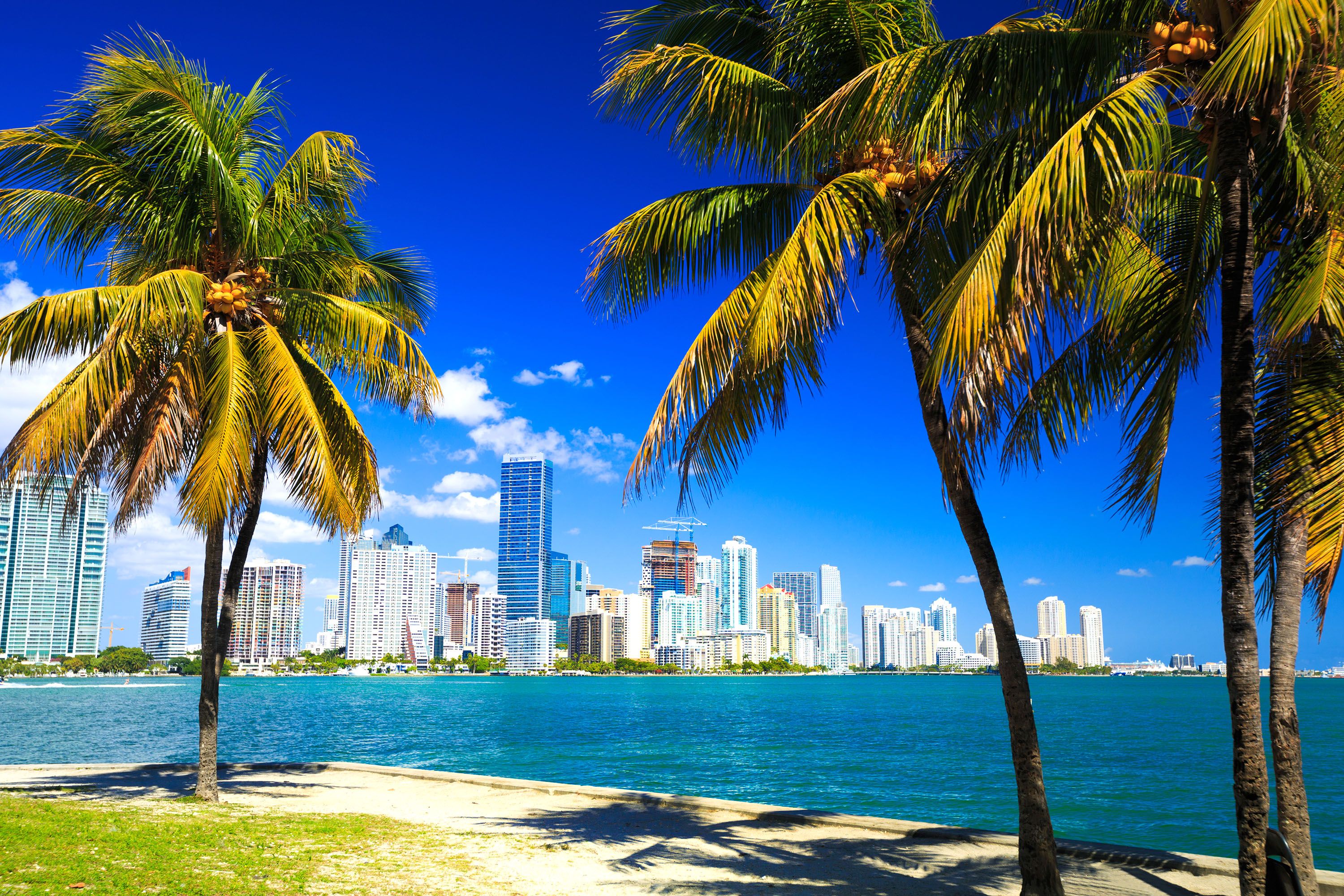 A city skyline seen from across a body water.