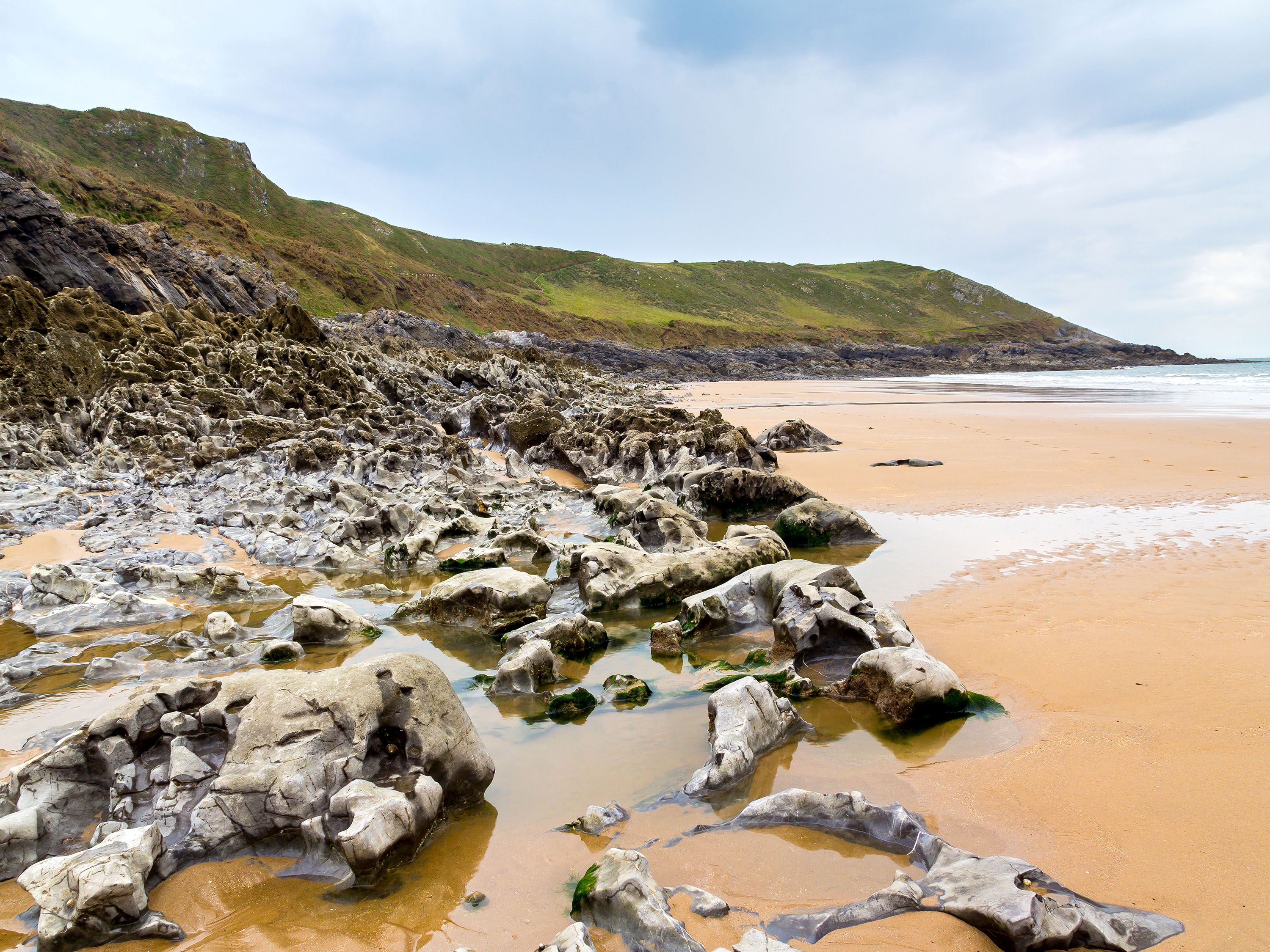 Lush green grass leading into a rocky shore and sandy beach.