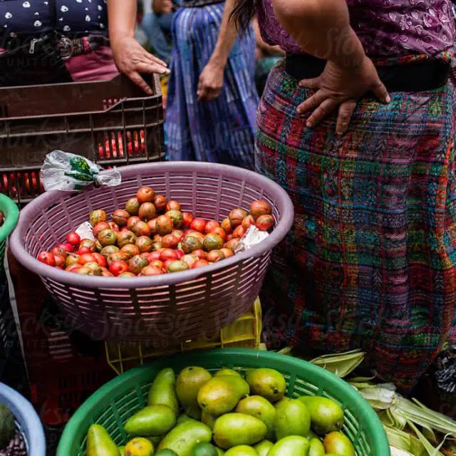 Baskets of tomatoes and avocados in a market