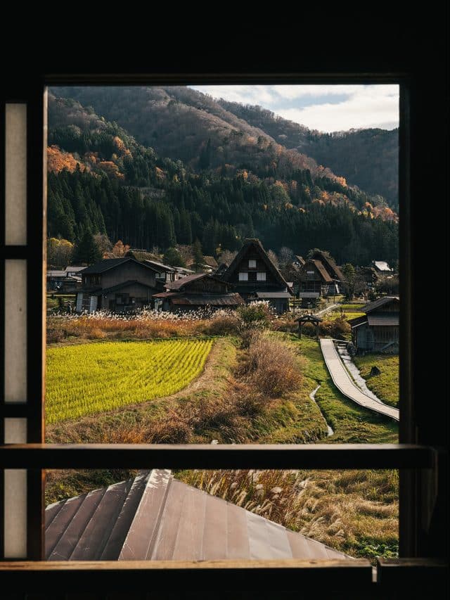 Cottages with pitched roofs, lush fields and steep forested slopes in the mountain village of Shirakawa-go, Japan
