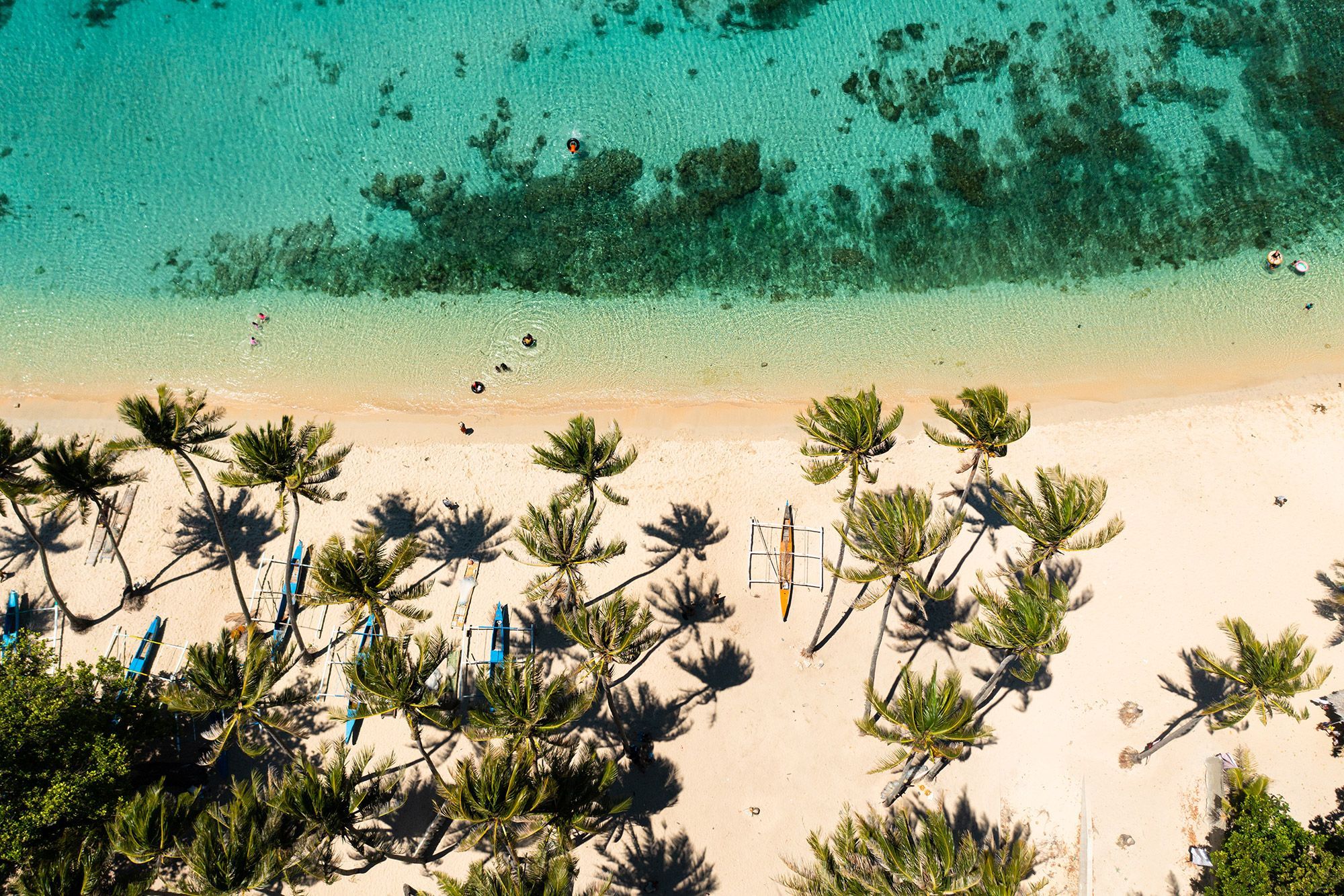 Aerial view of palm trees and a beach in Pagudpud, Ilocos Norte, Philippines.