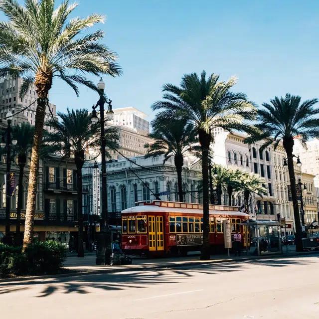 A red and yellow streetcar in New Orleans passes in the shade of palm trees