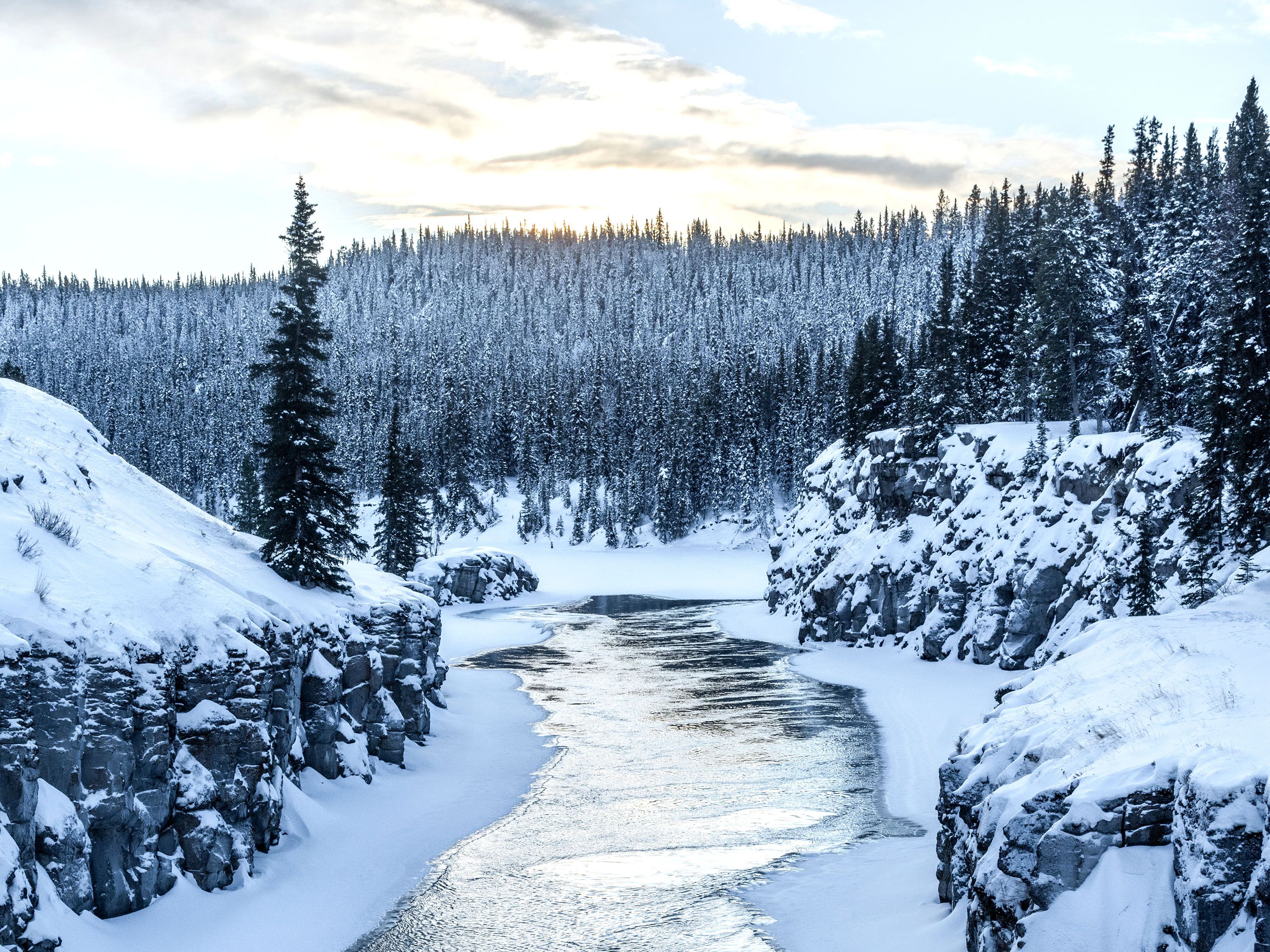 A creek runs through a forest covered in snow.