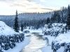 A creek runs through a forest covered in snow.