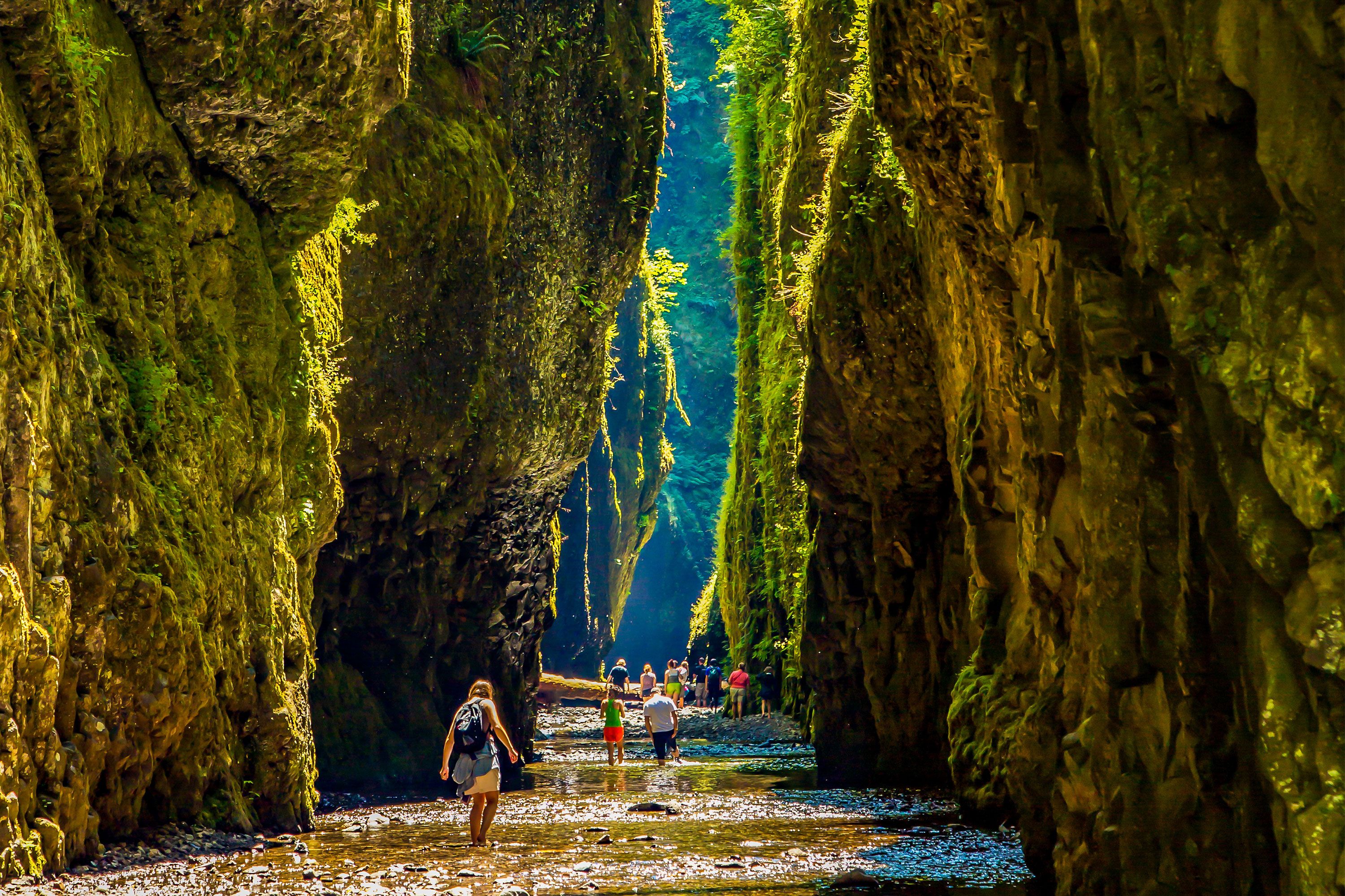 A group of hikers walking through the narrow, green-vegetated Oneonta Gorge with steep rocky walls and the Columbia River Gorge landscape in the background.