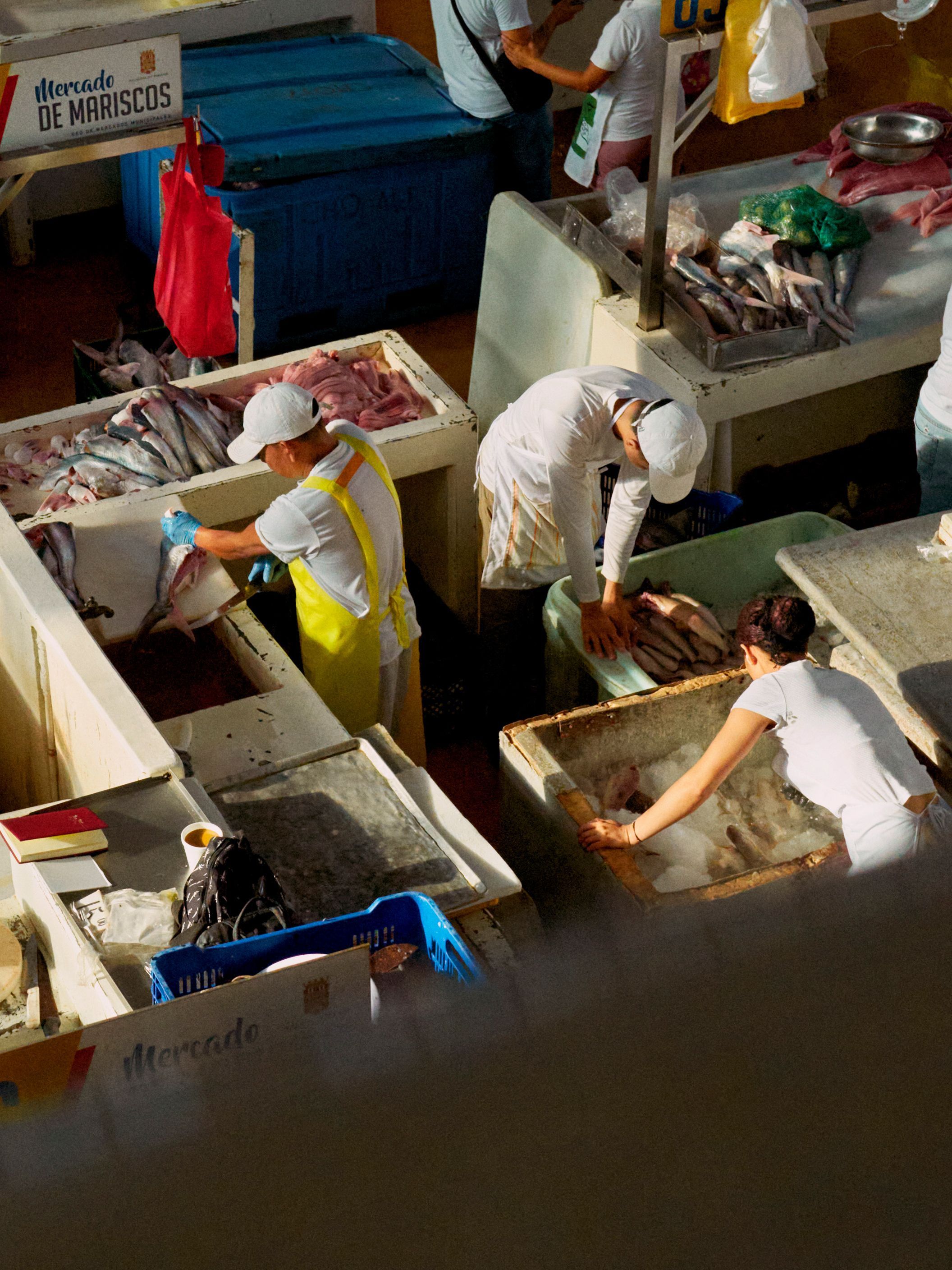 Workers preparing fish at the Mercado de Marisco in Panama City, Panama