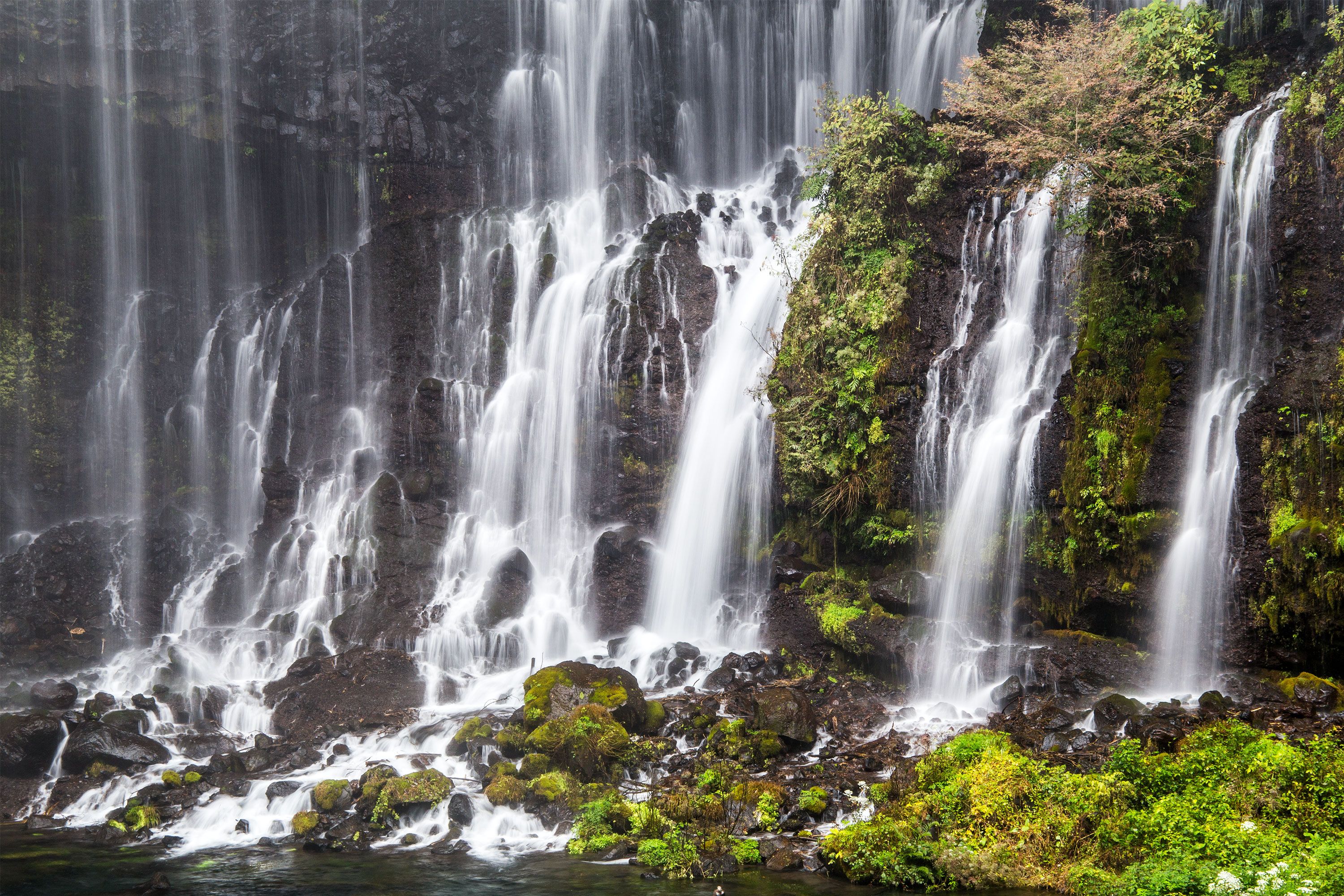 Thin white waterfalls flowing from a rocky ledge surrounded by dense green foliage and trees in a forested area.