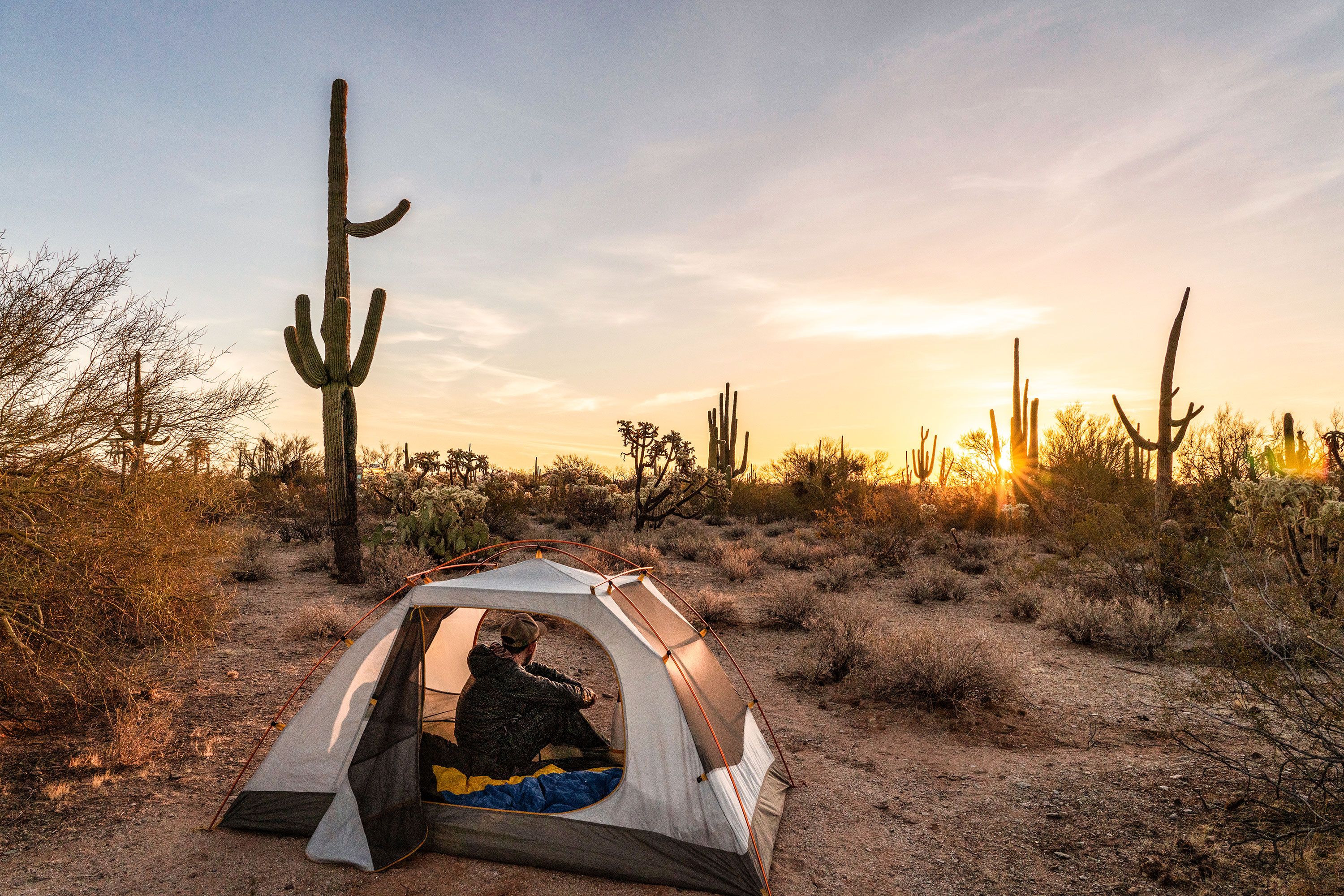 A man is sititng in a small domed tent in the desert with cacti at sunset.