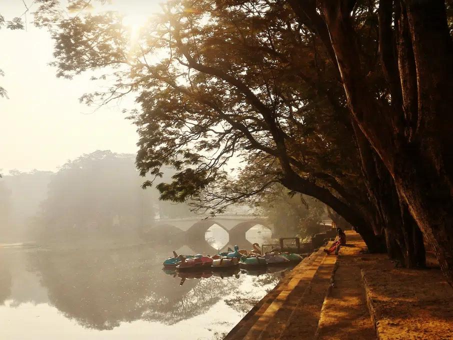 The riverbank of Sanjay Ghandi National Park on a sunny day in Mumbai, India