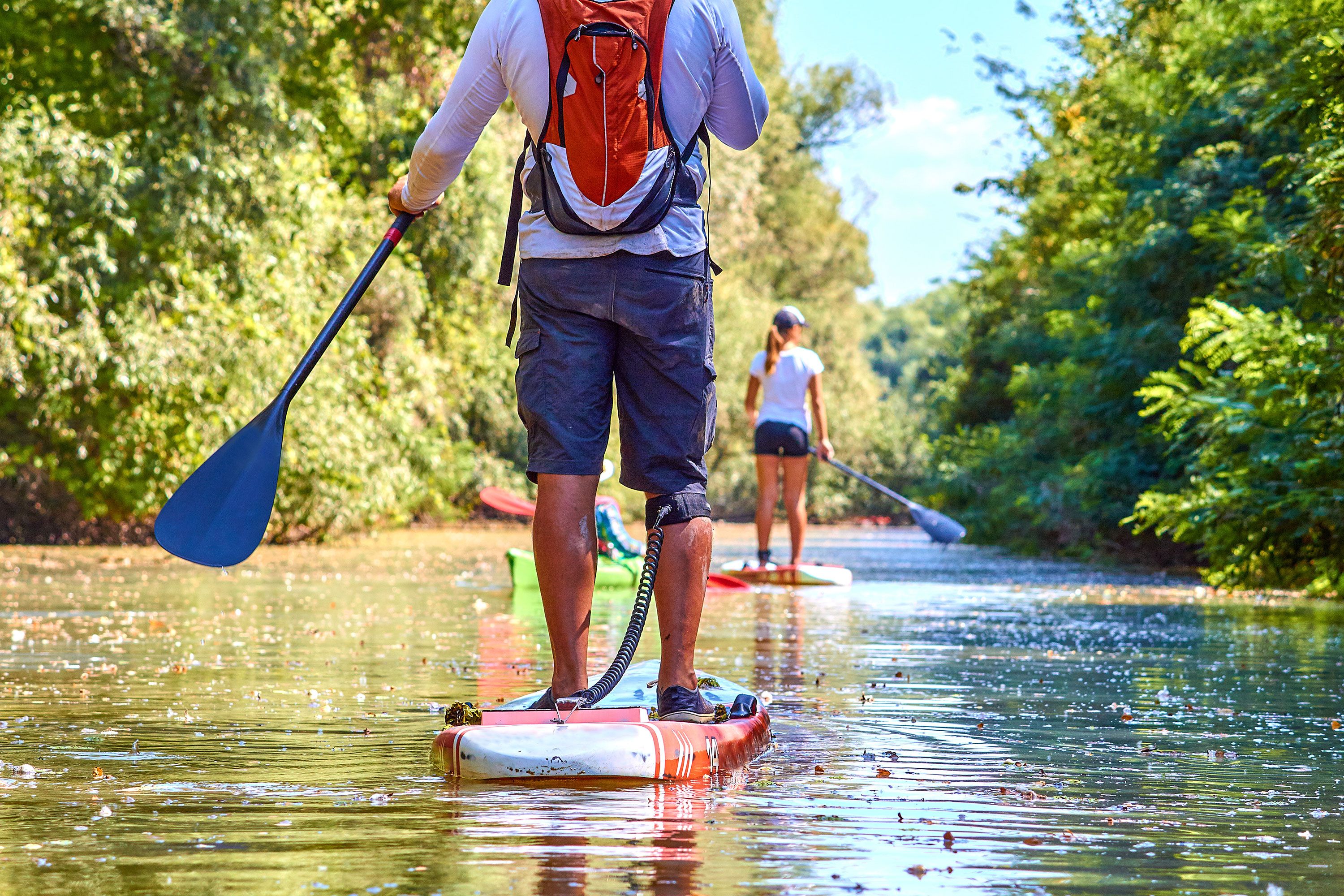 Close up of man's legs on stand up paddle board and woman paddleboarder in water in mangrove.