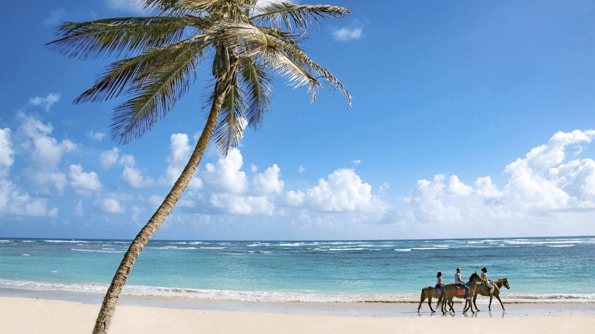 Barbados image 1