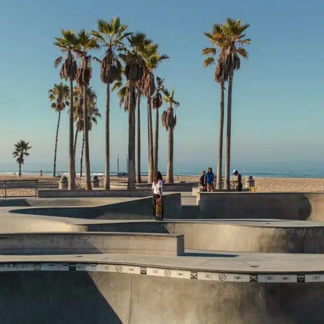 A group of skaters pause in the sunshine at Venice Beach Skatepark, with the beach and palm trees behind
