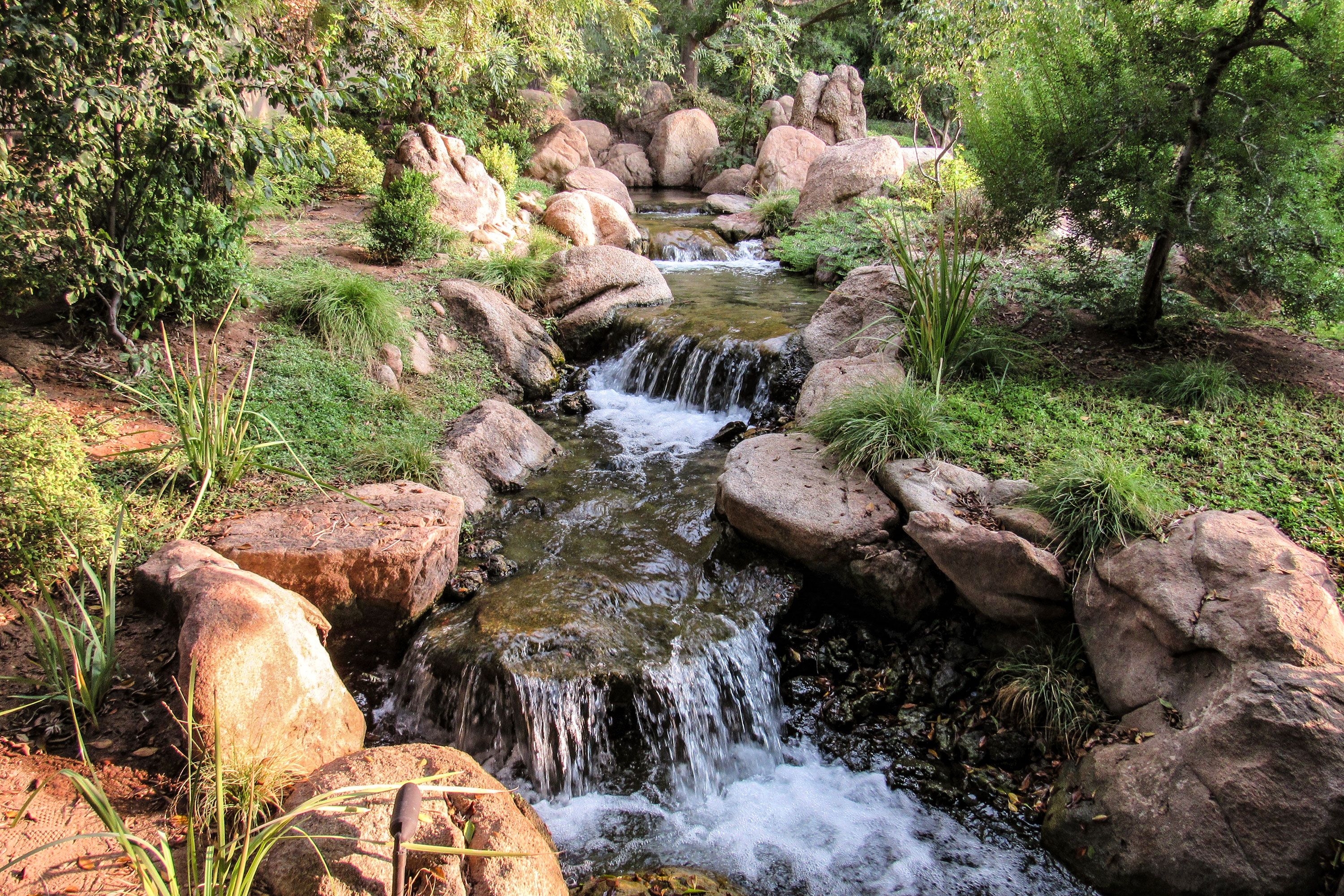 A flowing stream lined by large rocks around sunset with lush trees and plants in a garden.