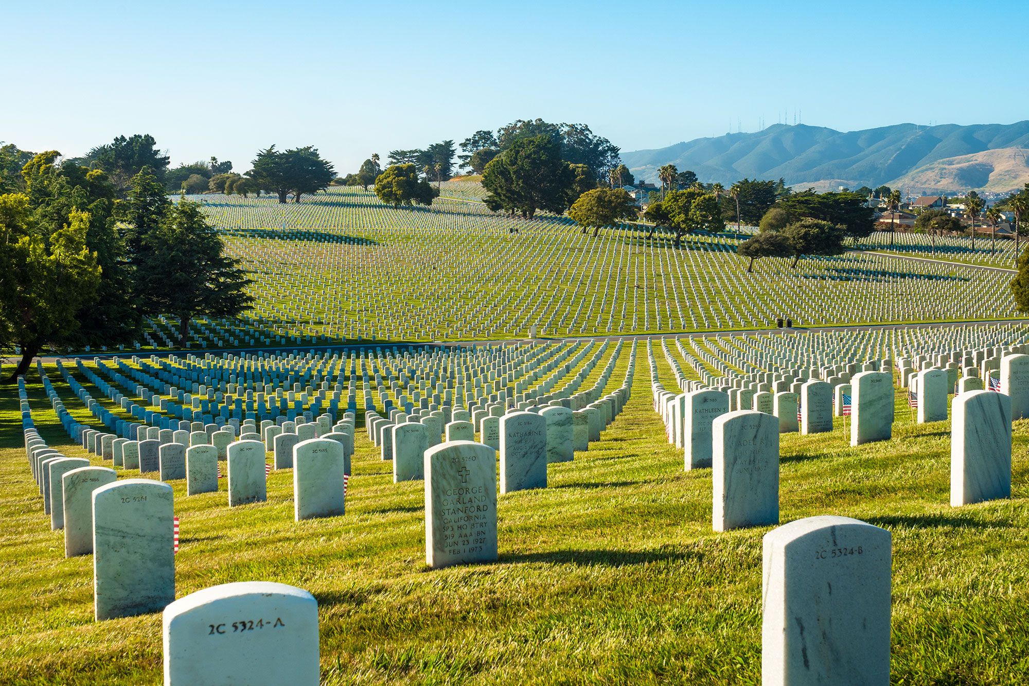 Rows of white gravestones lining a large lawn.